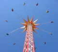 25656.jpg